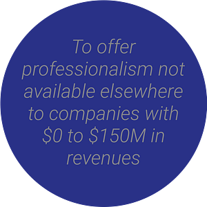 To offer professionalism not available elsewhere to companies with $0 to $150M in revenues